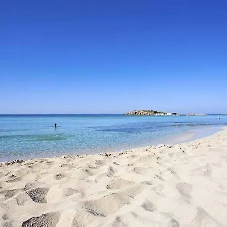 Nissi Golden Sands Sunny A1d4 Apartament *