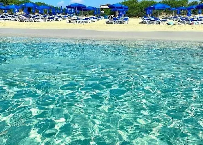 Apartamento Nissi Golden Sands Sunny A1d4 *